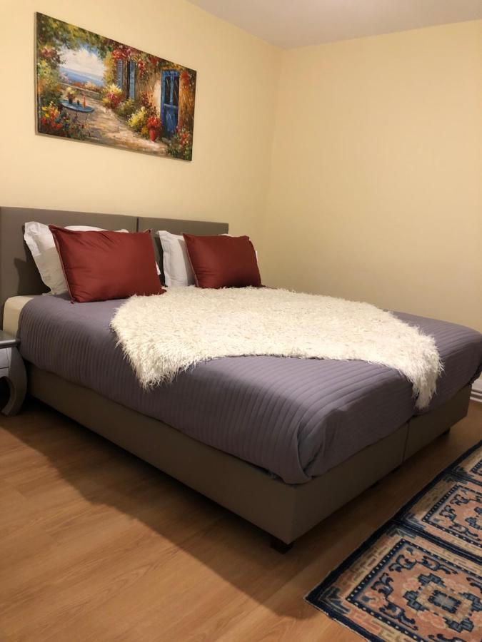 Le Cosy Apartman Schiltigheim Kültér fotó