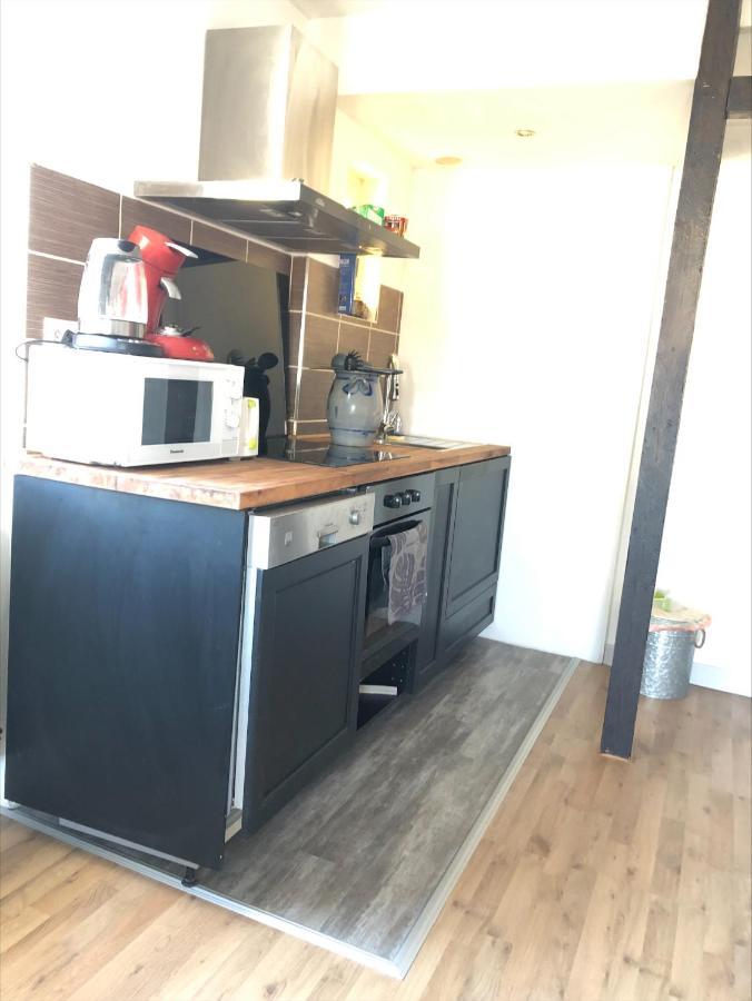 Le Cosy Apartman Schiltigheim Kültér fotó