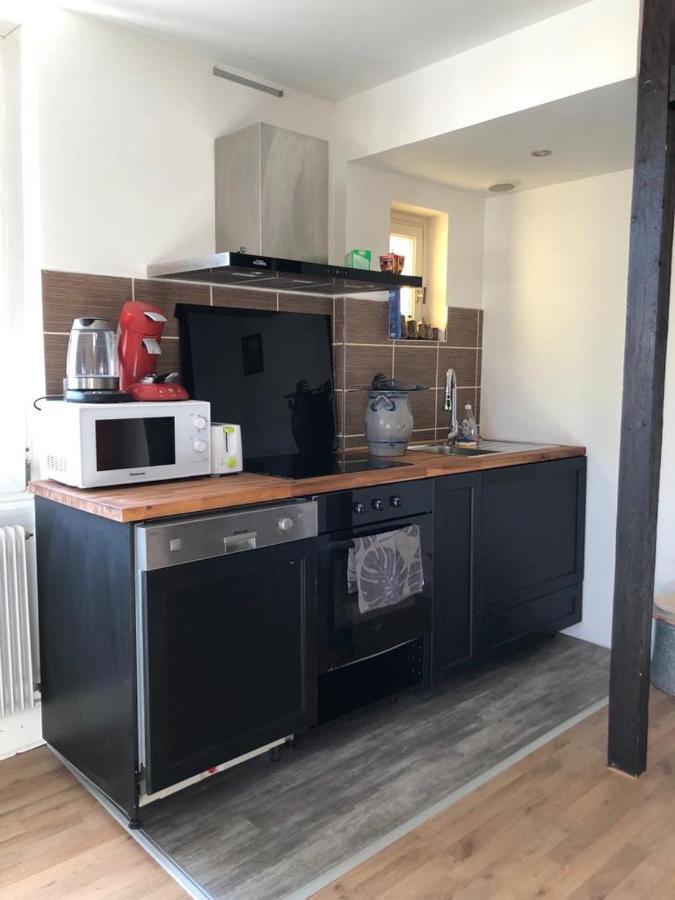 Le Cosy Apartman Schiltigheim Kültér fotó
