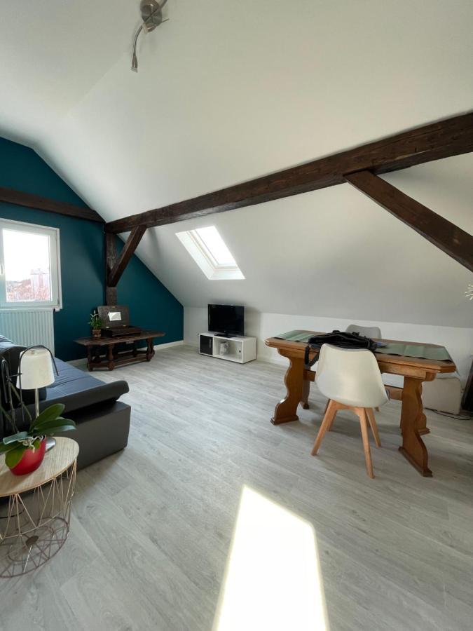 Le Cosy Apartman Schiltigheim Kültér fotó